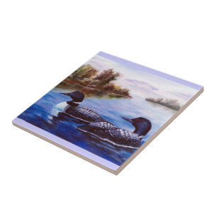 De Cerâmica Que azulejo do mergulhão-do-norte dos pares