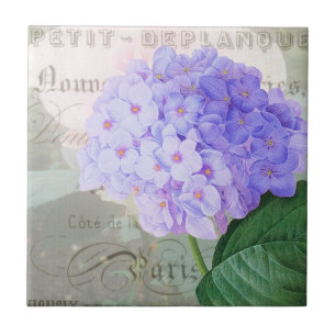 De Cerâmica Redouta Hydrangea Azulejo cerâmico francês acent