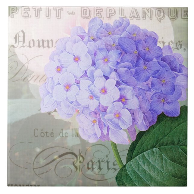 De Cerâmica Redouta Hydrangea Azulejo cerâmico francês acento (Frente)