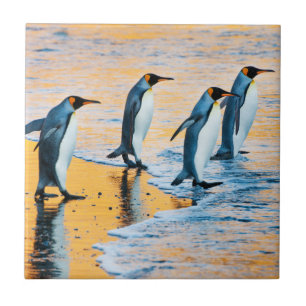 De Cerâmica Rei pinguins no nascer do sol - azulejo