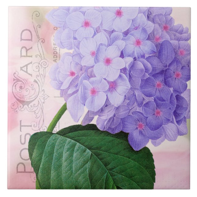 De Cerâmica Retirar o Azulejo cerâmico francês Roxo Hydrangea (Frente)