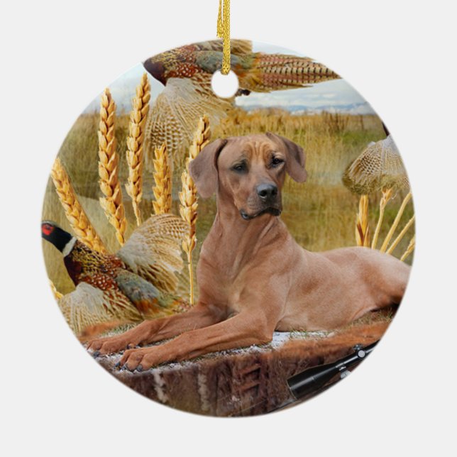 De Cerâmica Rhodesian Ridgeback caça o ornamento (Traseira)