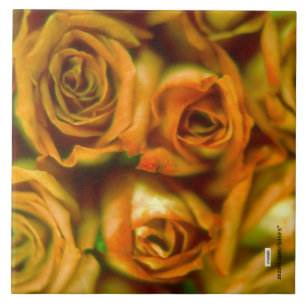 De Cerâmica Rosa Azulejo cerâmico