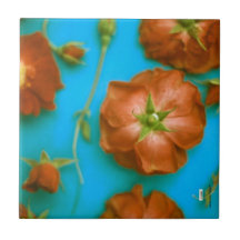 Rosa Azulejo cerâmico