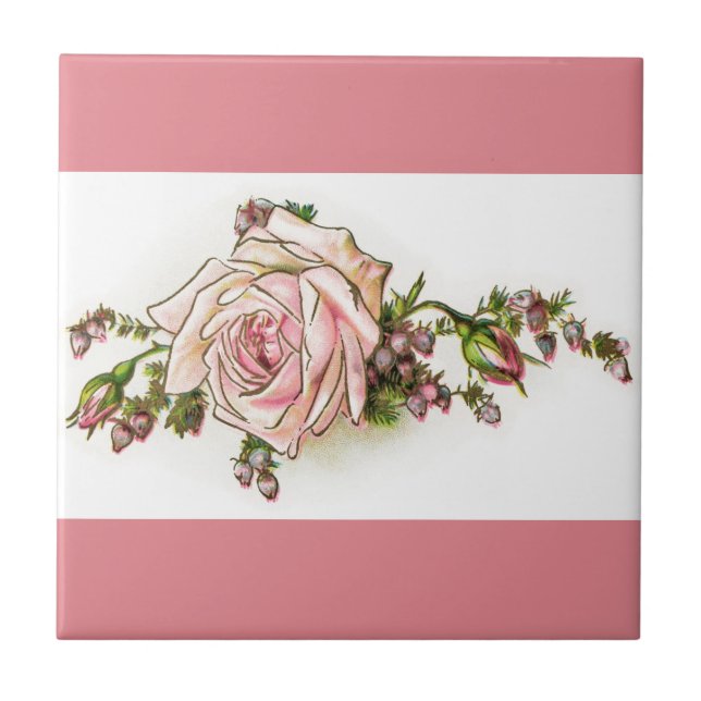 De Cerâmica Rosa do rosa do Victorian e azulejo dos botões (Frente)