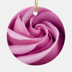 De Cerâmica Rosa do rosa dobrado ao ornamento da perfeição