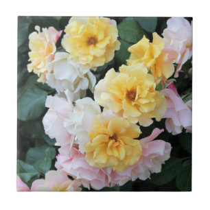 De Cerâmica Rosa Garden Pastas cerâmicas Azulejo