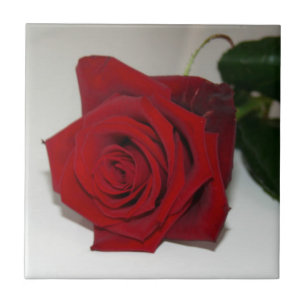 De Cerâmica Rosas São Azulejo Vermelho