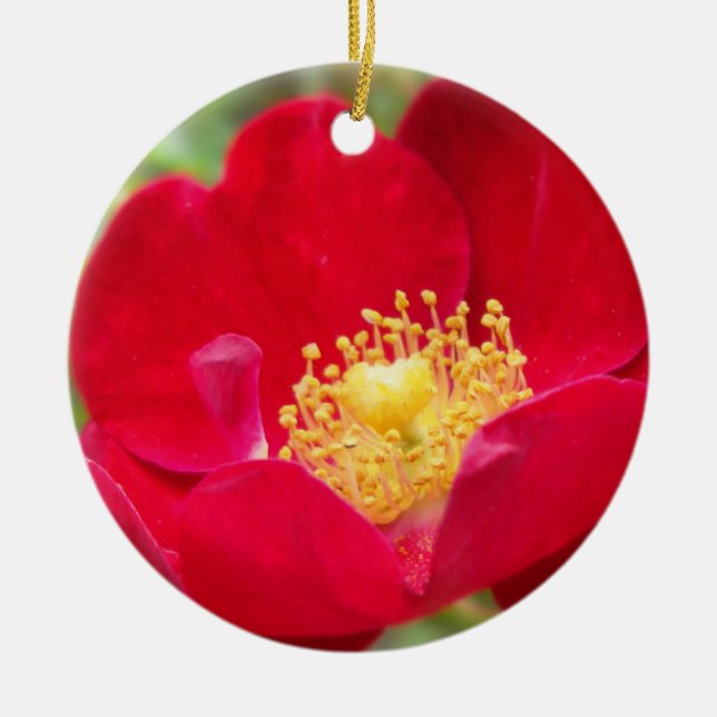 De Cerâmica Rosas São Ornamento Vermelho (Frente)