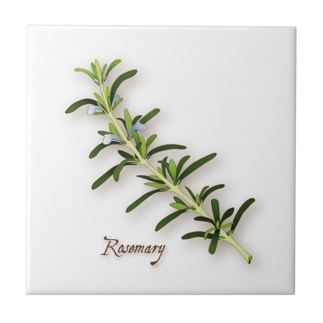 De Cerâmica Rosemary Herb Azulejo (Frente)