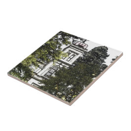 De Cerâmica Santuário entre o Azulejo Cerâmico das Árvores