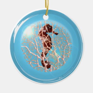 De Cerâmica Seahose em um ornamento da bolha