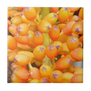 De Cerâmica Sementes Pequenas (4,25" x 4,25") Azulejo fotográf