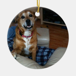De Cerâmica Seu doggy em um ornamento