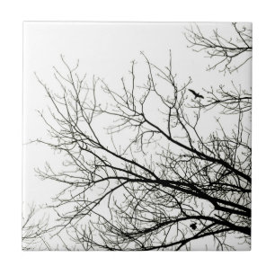 De Cerâmica Silhuetas da árvore - azulejo