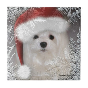 De Cerâmica Snowdrop o azulejo decorativo maltês