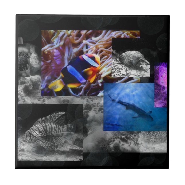 De Cerâmica Sob o azulejo do mar (Frente)