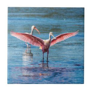 De Cerâmica Spoonbill róseo 4,25" pequeno x 4,25" azulejo da