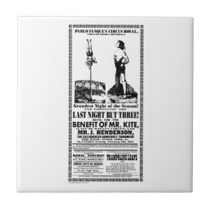 De Cerâmica Sr. Papagaio Poster em um azulejo