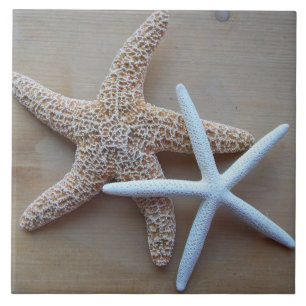 De Cerâmica Starfish Beach Home Decorative Azulejo quadrado