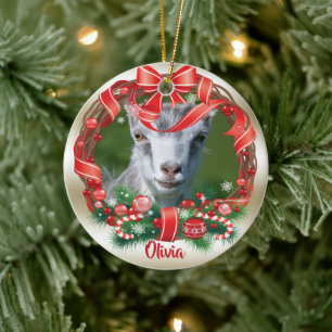 De Cerâmica SUA FOTO EM BOAS CONDIÇÕES com ornamento cerâmico