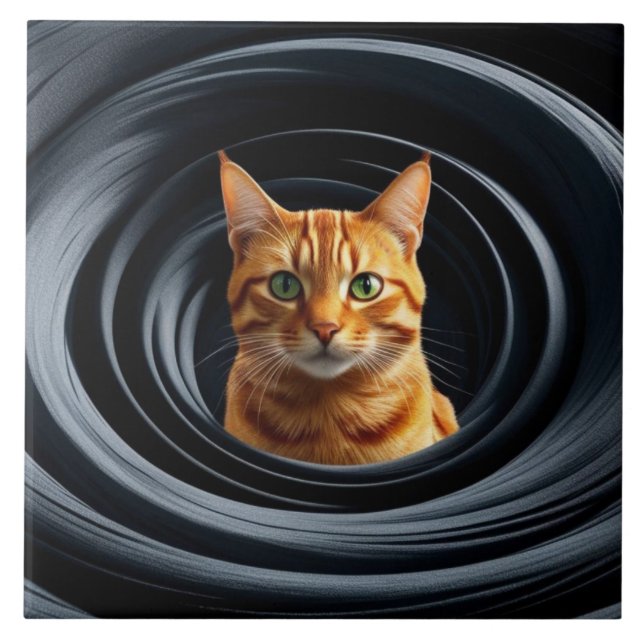 De Cerâmica Tabby Gyre Azulejo Decorativo (Frente)