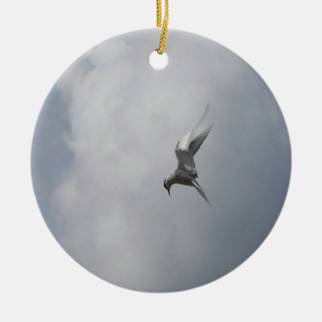 De Cerâmica Tern no ornamento do Céu, personalizar (Frente)