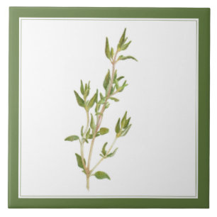 De Cerâmica TILO FRESCO Azulejo Cerâmico 6x6 (-text) Verde