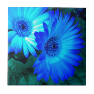 De Cerâmica Trivet Azulejo Brilliant Blue Daisies