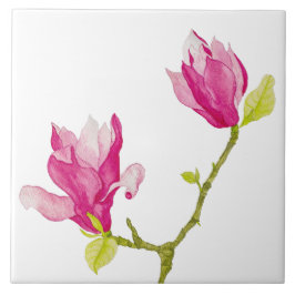 De Cerâmica Tulip Magnolias em Azulejo cerâmico (1)