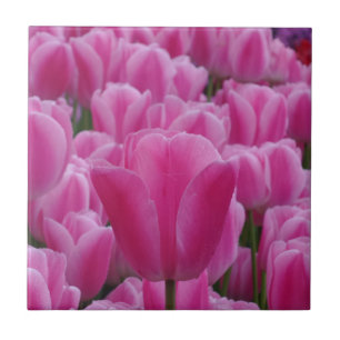 De Cerâmica Tulip Pequeno (4,25" x 4,25") Azulejo fotográfico