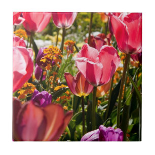 De Cerâmica Tulipas plorais, azulejo cerâmico