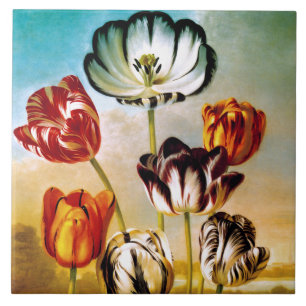 De Cerâmica Tulipas sob o Azulejo do céu