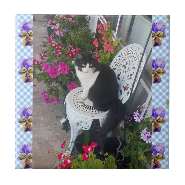 De Cerâmica Tuxedo Gato flor Funny Cats viola Azulejo cerâmico (Frente)