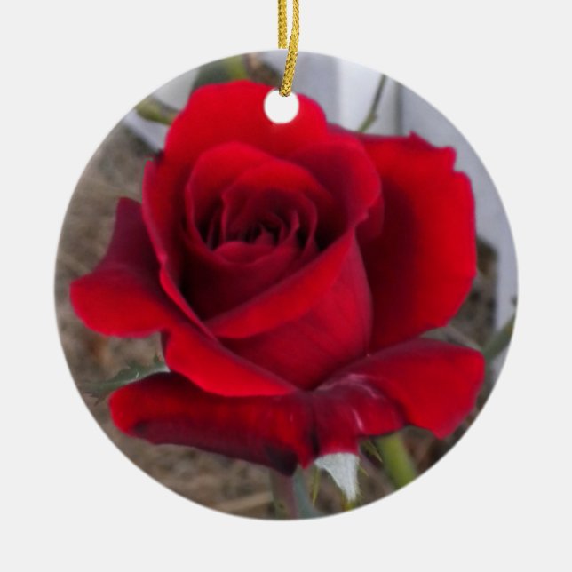 De Cerâmica Único ornamento da rosa vermelha (Frente)