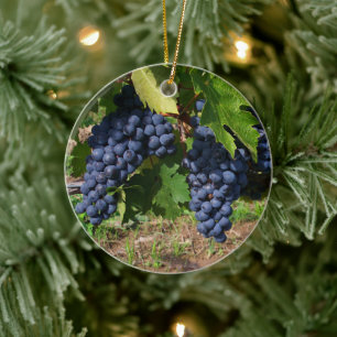 De Cerâmica Uvas em um ornamento da videira