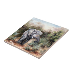 De Cerâmica Vinda através do azulejo do elefante