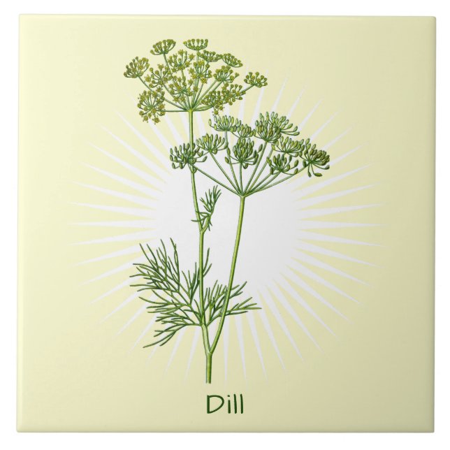 De Cerâmica Vintage Dill Herb Botanical Art Azulejo cerâmico (Frente)