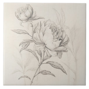 De Cerâmica Vintage Peony 1 Azulejo Decorativo Botânico