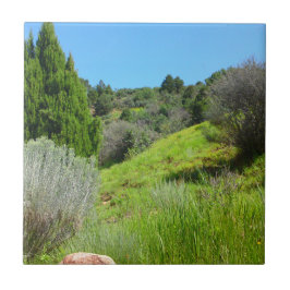 De Cerâmica Vista do Azulejo Verde
