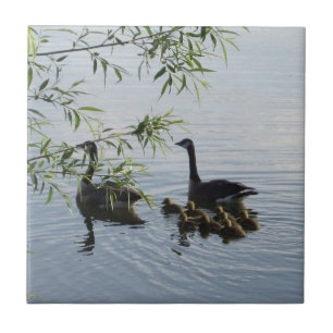 De Cerâmica Wild Geese Azulejo