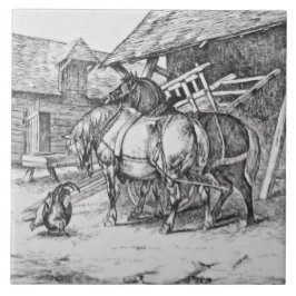 De Cerâmica Wm Wise Minton Farm Animais Azulejo Repro
