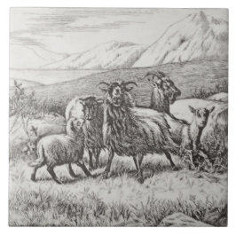 De Cerâmica Wm Wise Minton Farm Animal Goats Azulejo Repro c18