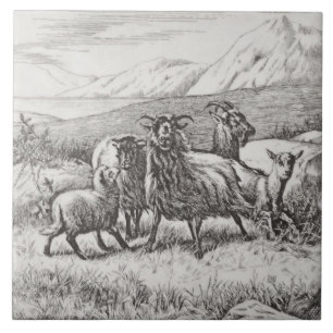 De Cerâmica Wm Wise Minton Farm Animal Goats Azulejo Repro c18