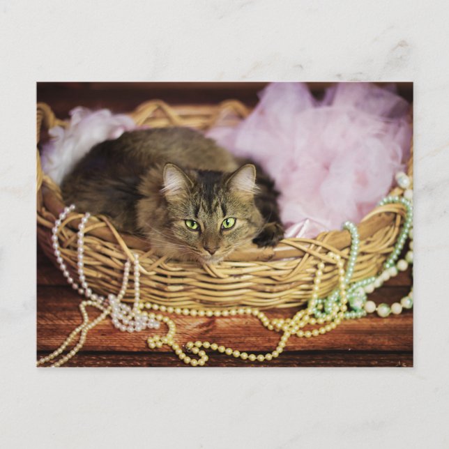 De Convite cartão postal da festa (Frente)