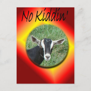 De Convite Cartão postal do Chester personalizado em qualquer