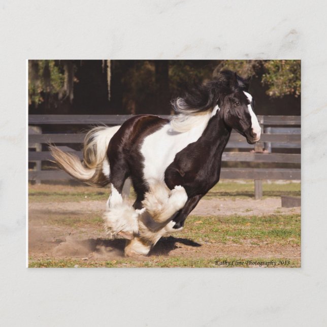 De Convite Cartão postal Gypsy Dourado Vanner (Frente)