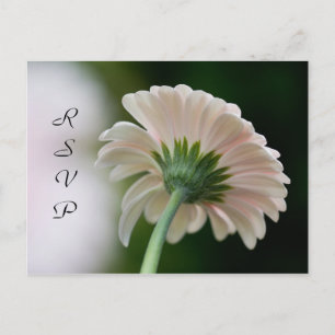 De Convite Cartão postal RSVP