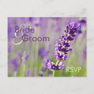 De Convite Lavendar - Cartão postal RSVP