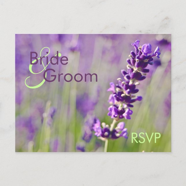De Convite Lavendar - Cartão postal RSVP (Frente)